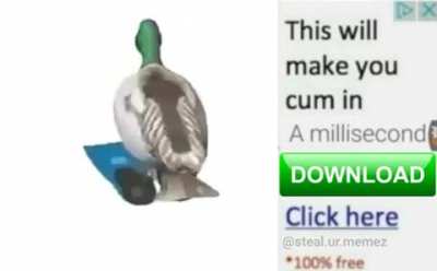ok