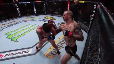 [Video] Cub Swanson highlight reel (2mins)