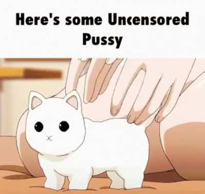 I'm 15 and this is yeet