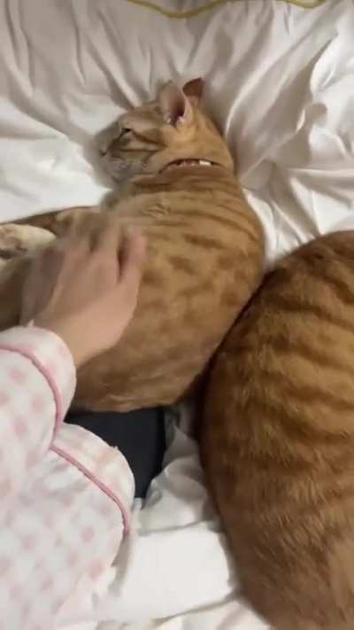 foot warmers