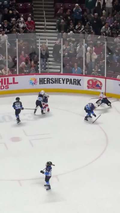 Massive brawl at kids hockey game