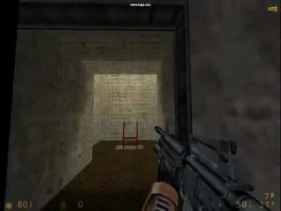 Goofy ahh door