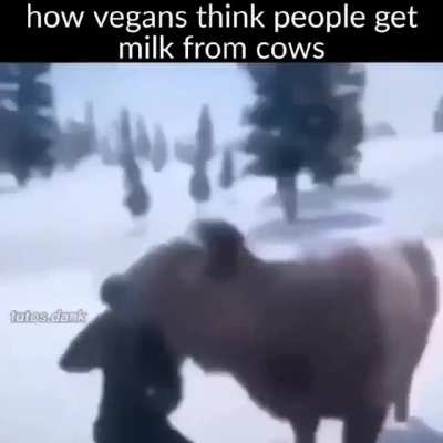 true tho