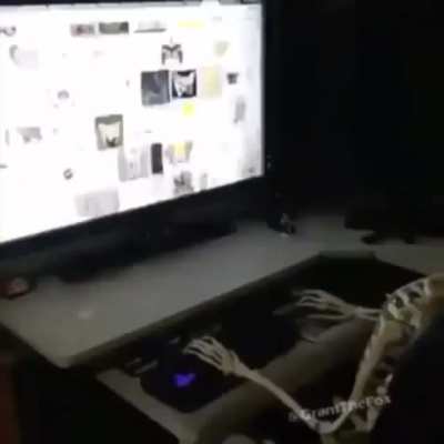 Bone bonk time