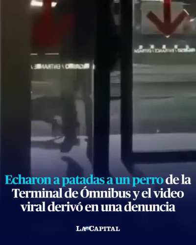 Echaron a patadas a un perro de la terminal de Omnibus y el video derivó en una denuncia