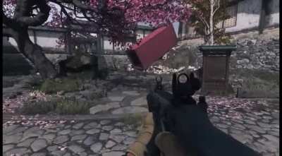 New feature coming with S2R: Black screen flashbangs