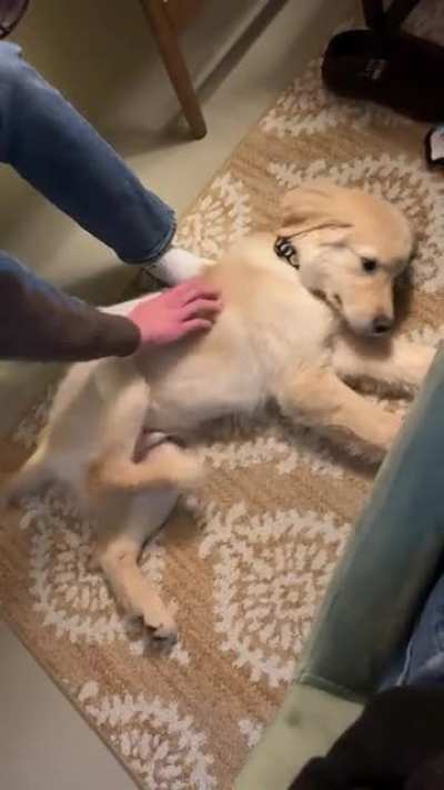 the jimmy leg