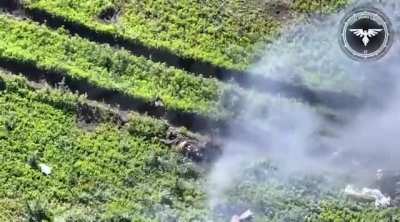 After a failed russian assault an ukrainian FPV drone chases a russian soldier that runs out of steam and asks not to hit him. 47 OMBR, 2024, May.
