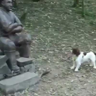 Hey man come on play with me