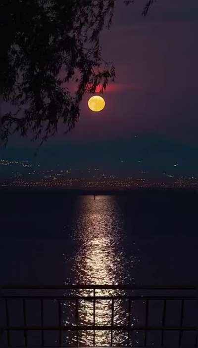 Dreams 