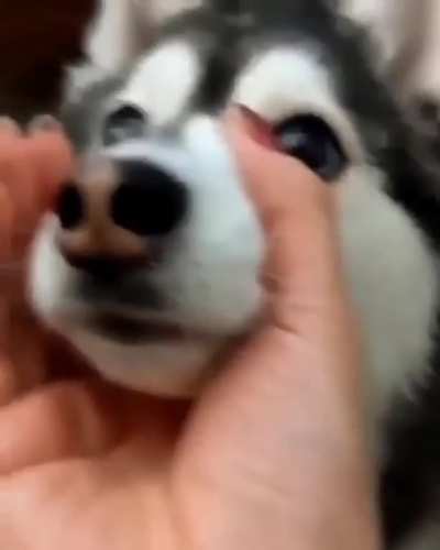 Those magical eyes