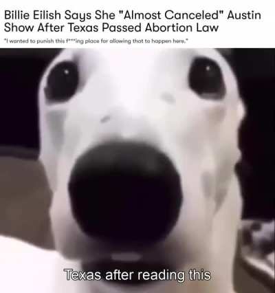 OH MI GOOD GUYS IM SHOO SCARED RN