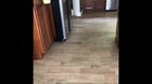 [OC] Well hi!