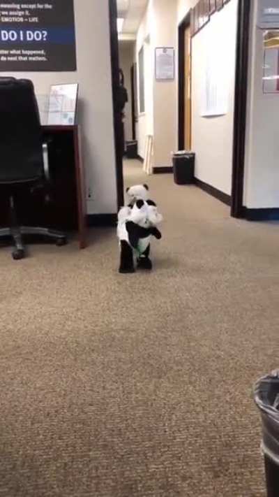 Panda🐼