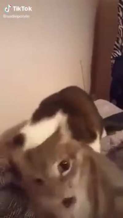 The ending tho