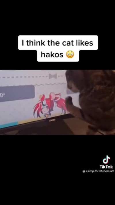 Cat of Culture