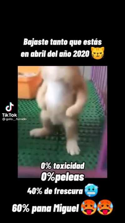Que buenos tiempos