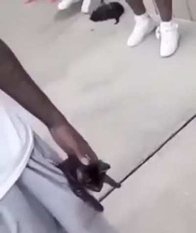 pocket pussy