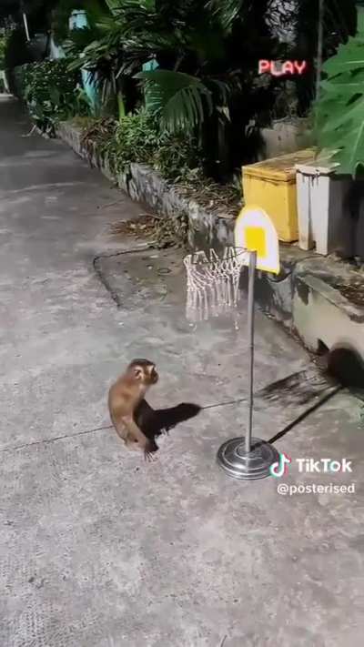 🏀