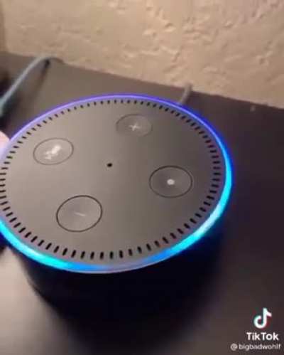 Alexa, Make a fart sound