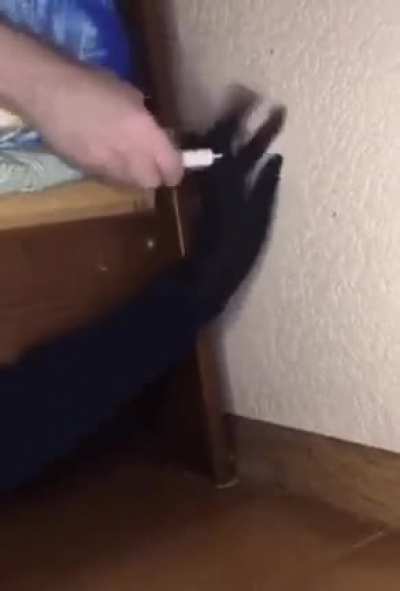 blursed_plug-in