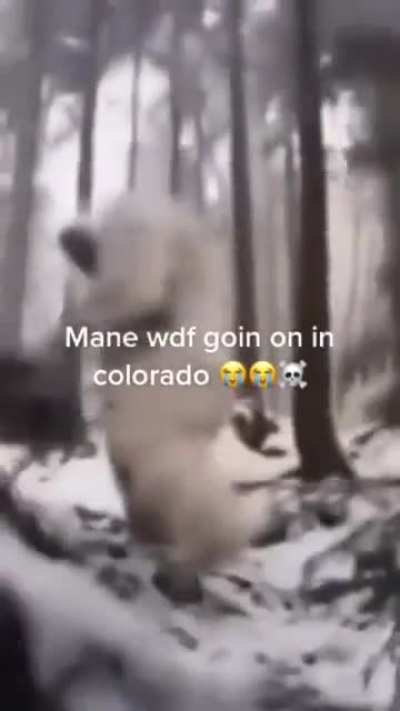 Y’all stay safe out there in Colorado 🙏💯