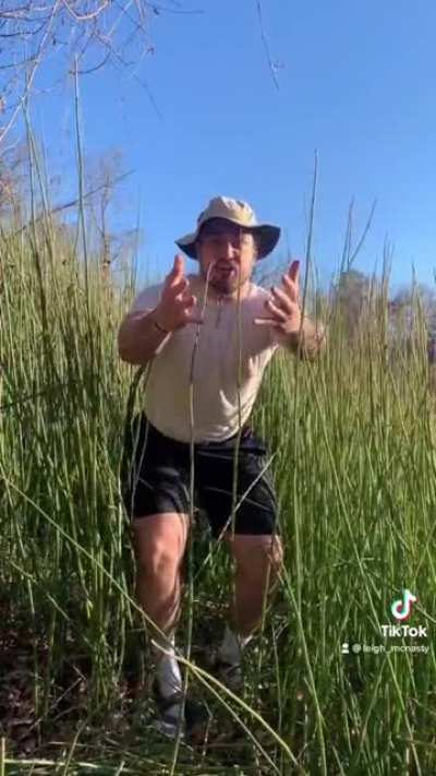 Snapping turtles