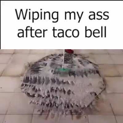 why is the carpet wiping its ass is it stupid ?