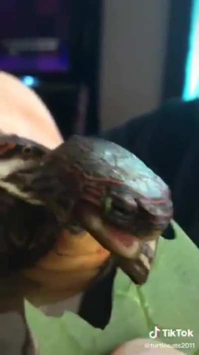 ?