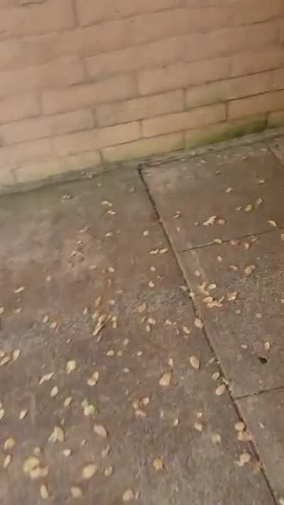 Just going to the bathroom