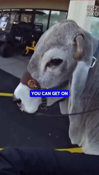 How dare they call the cops on Gus