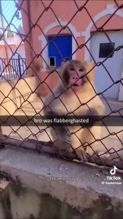 Absolutely bewildered