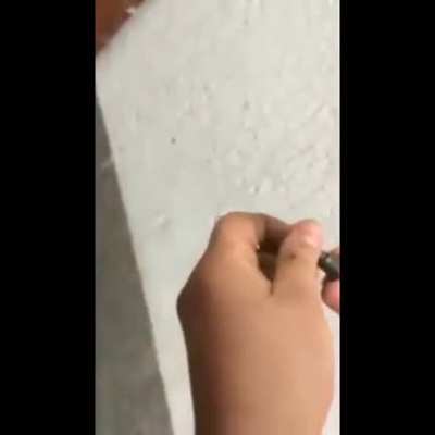 Tudo vira uma arma que medo😮😮