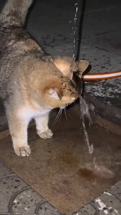Soggy Ahh Wunk