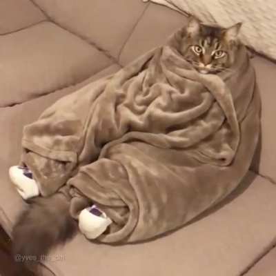Would it kill you to turn on the heat for once, Janet?