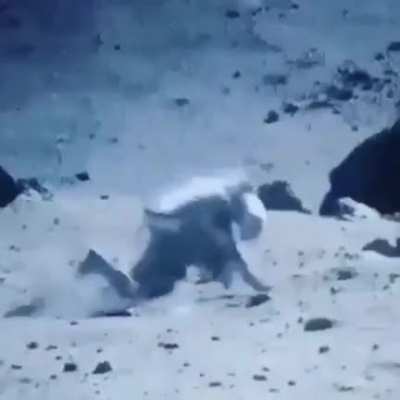 Неуклюжие астронавты