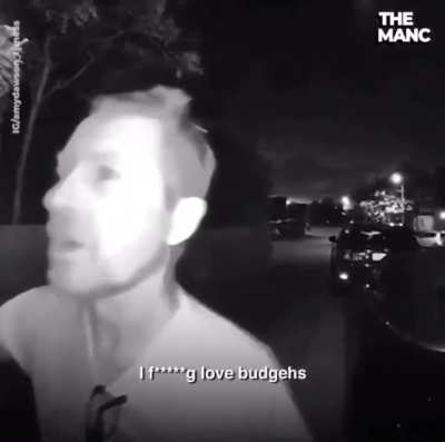 We all love budgehs