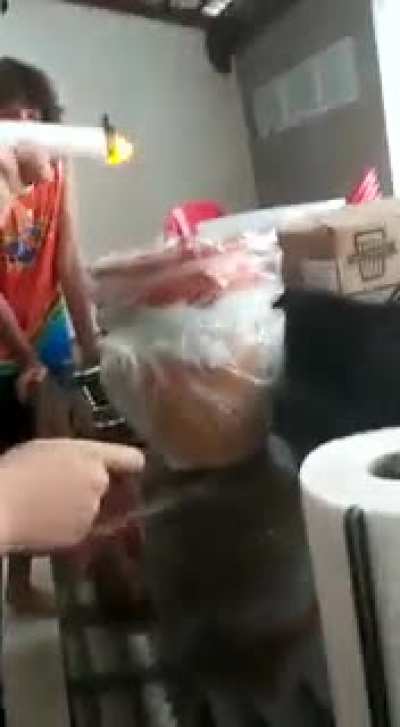 Não fumem crianças