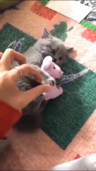 ''I won't give it to you homan''