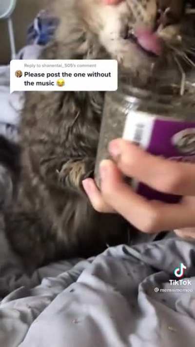 Cat crack