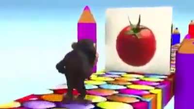Tomato