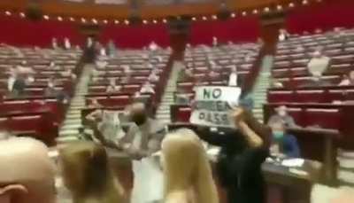 Chaos erupts in the Italian parliament over new 