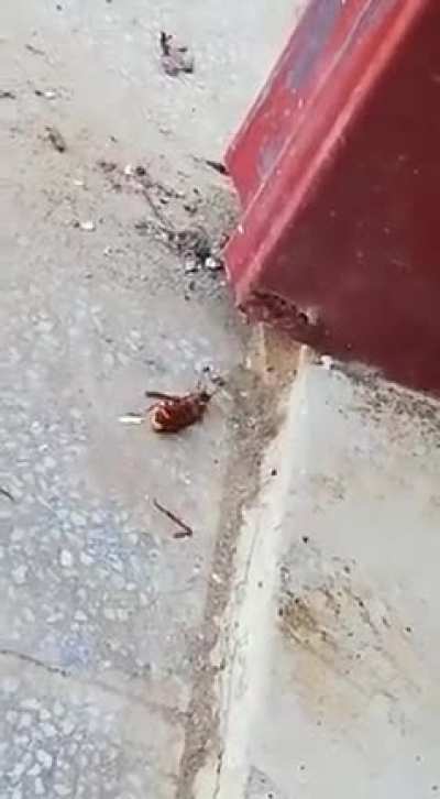 Wait for the end