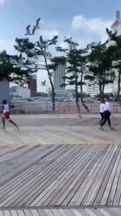 Just some birds chasing a man with a pizza