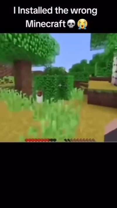 Minecarft 