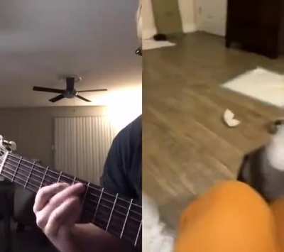 Do do do do dodododdo ah