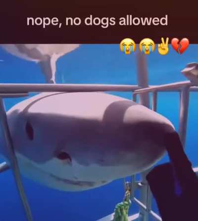 Me_irl