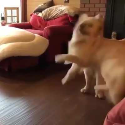 Dance break!