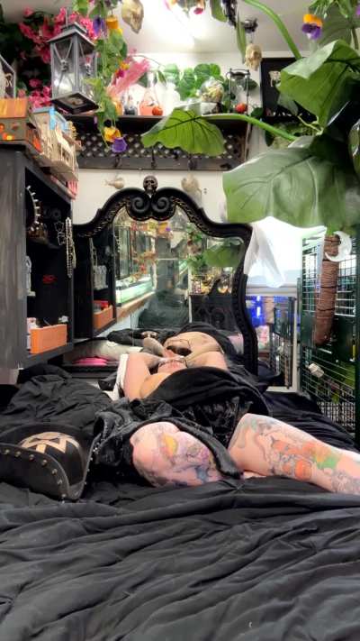 Walk the plank 😜