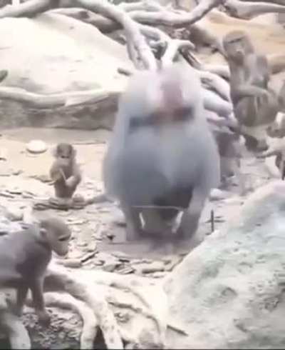 Holy Shit